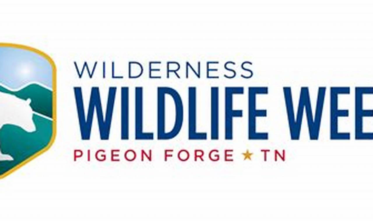 Wilderness Wildlife Week 2024