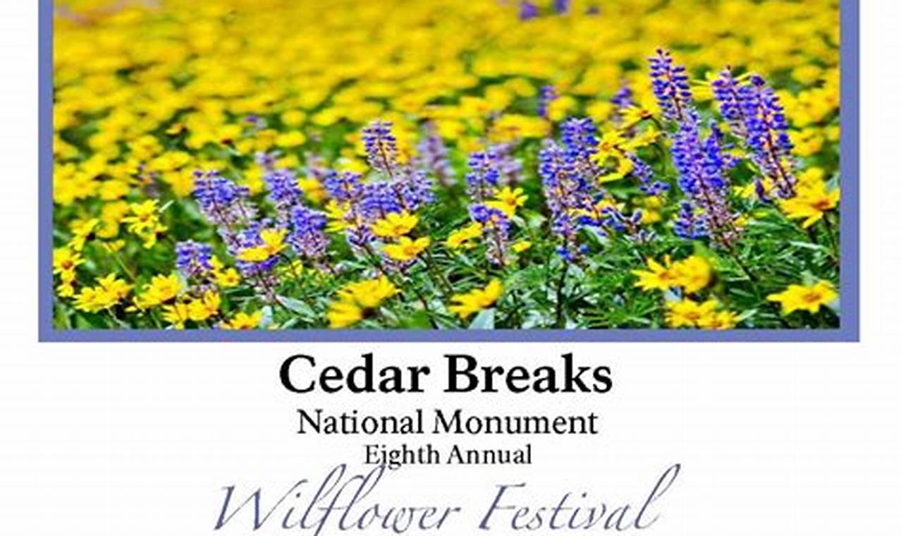 Wildflower Festival Utah 2024