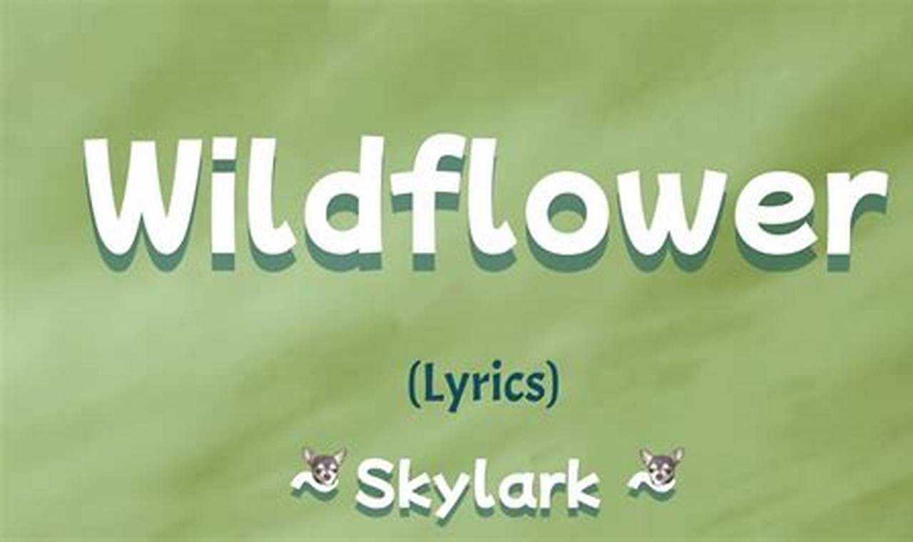 Wildflowers Lyrics Skylark Infra