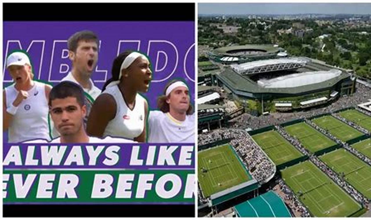 Wimbledon Payouts 2024