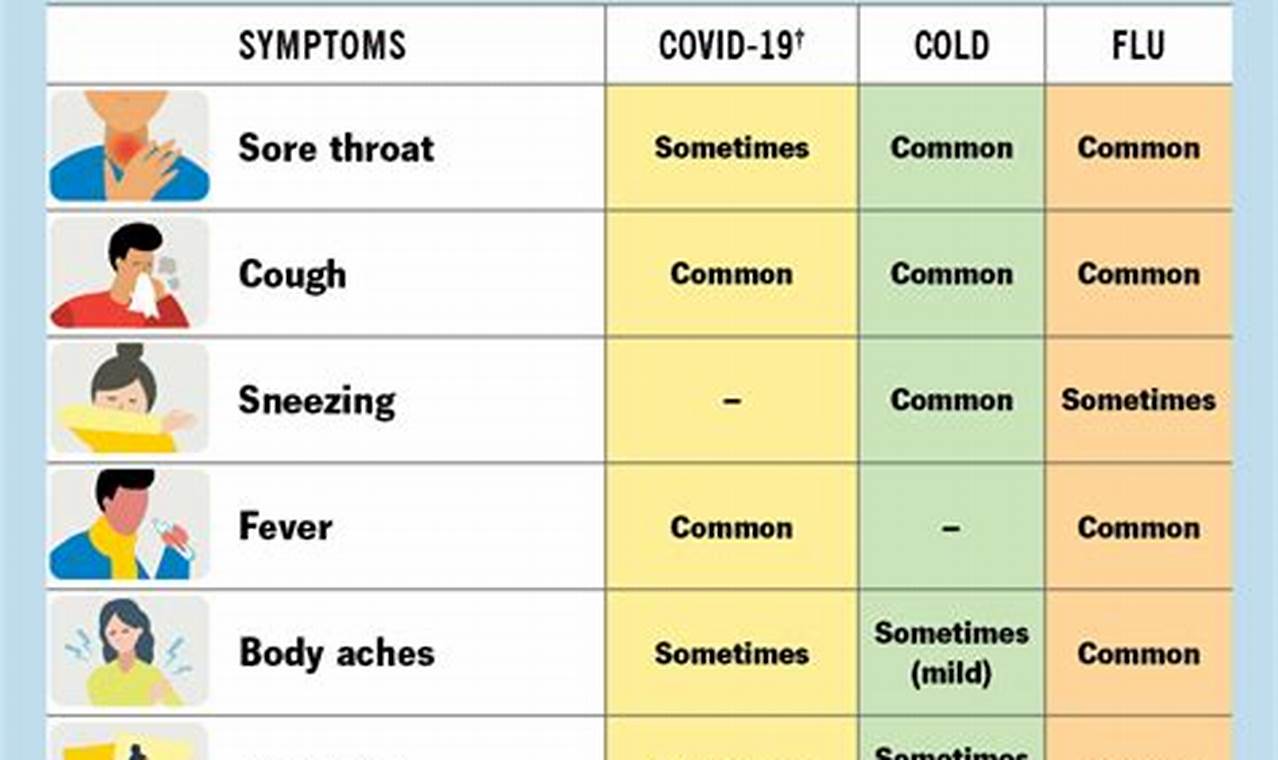 Winter 2024 Flu Symptoms