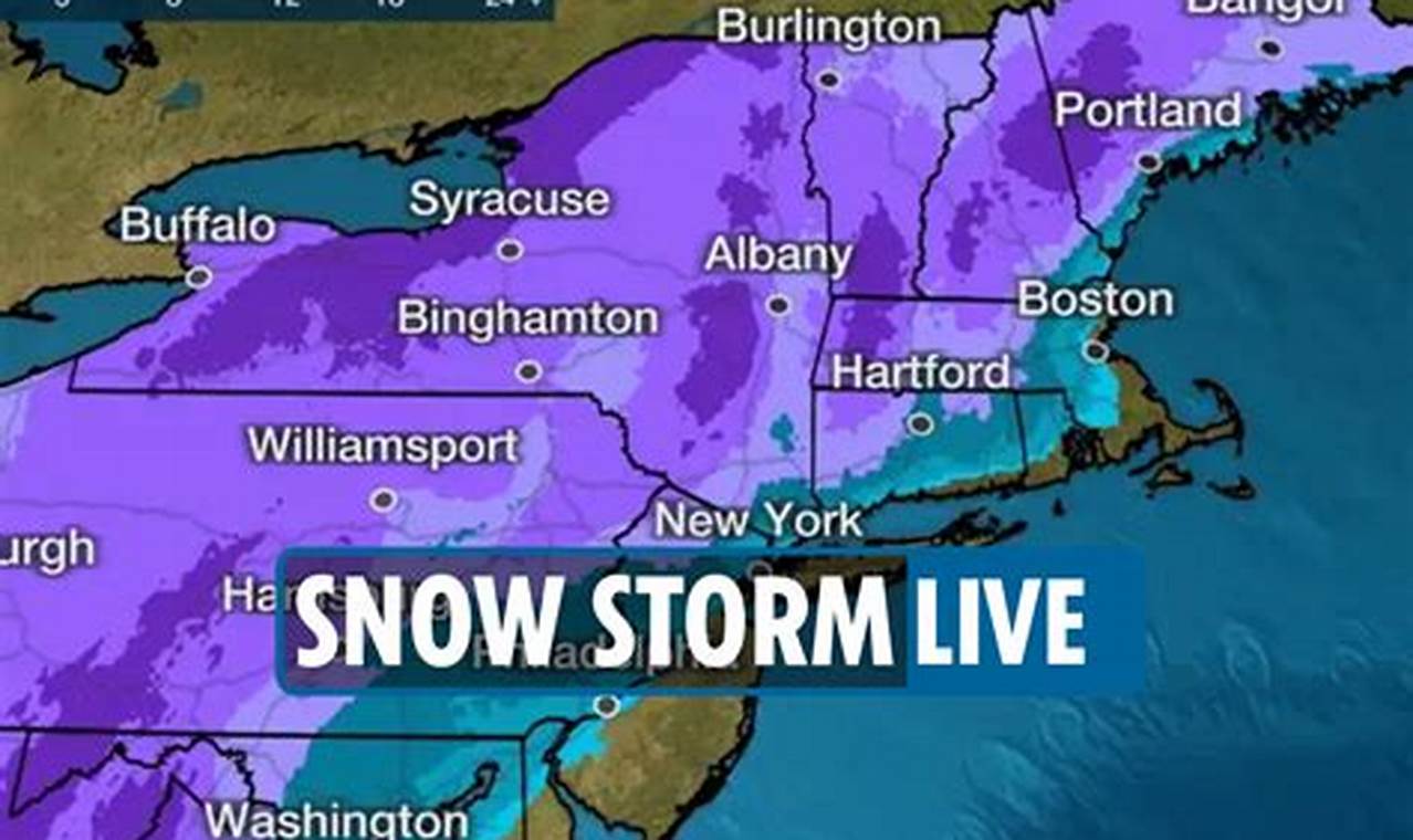 Winter Storm 2024 New England