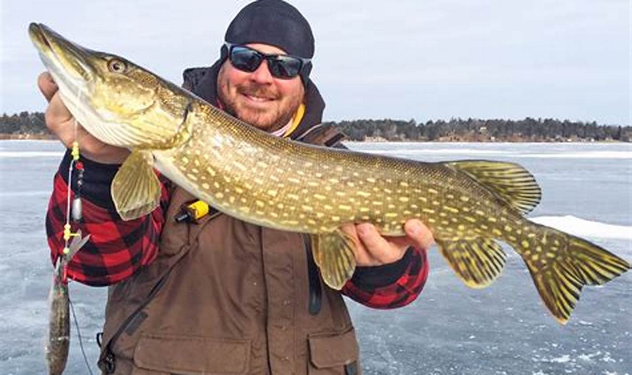 Wisconsin Northern Pike Size Limit 2024