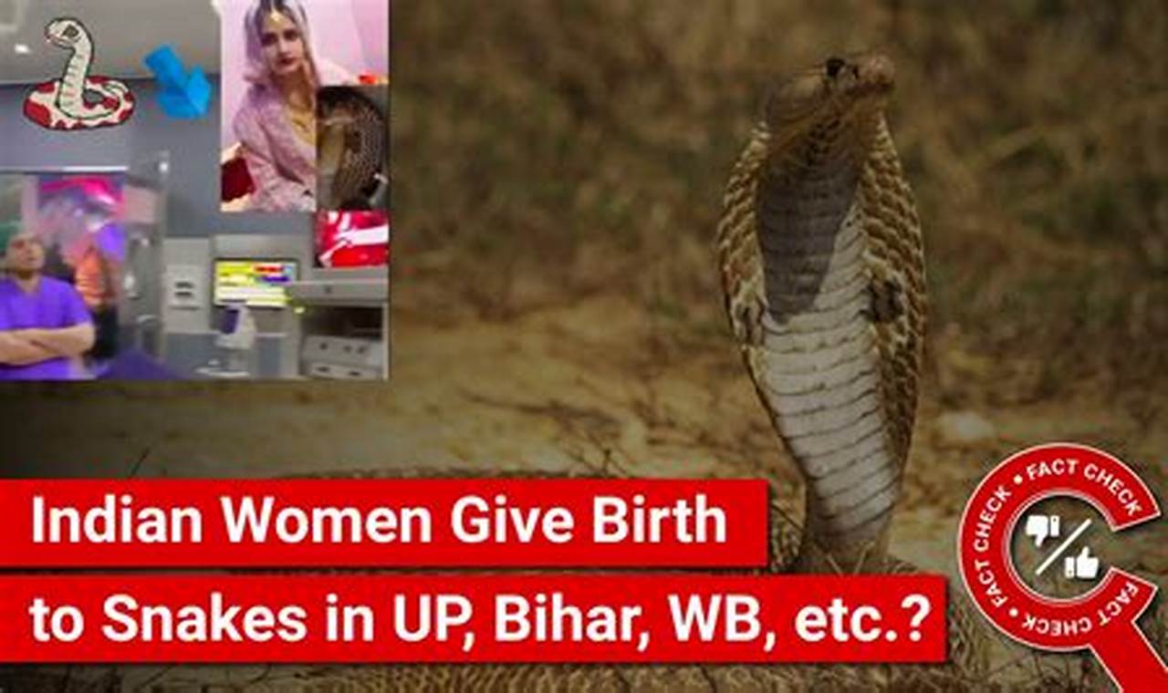 Woman Gave Birth To Snake In India 2024