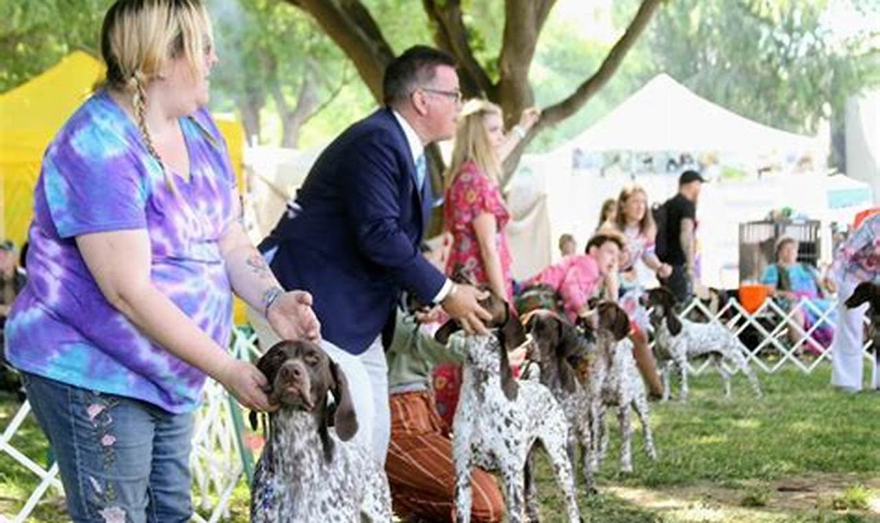 Woofstock Dog Show 2024