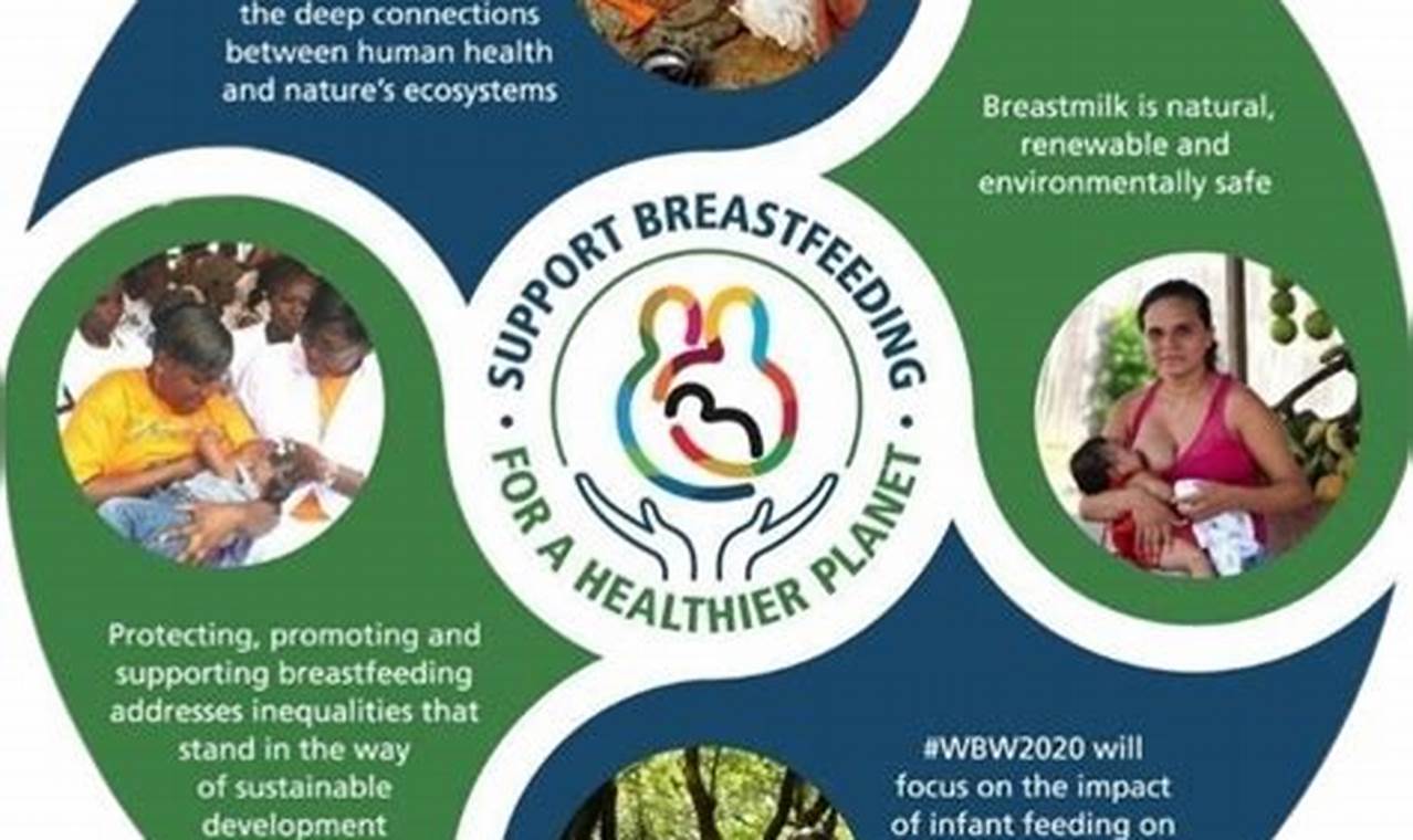 World Breastfeeding Week 2024 Theme