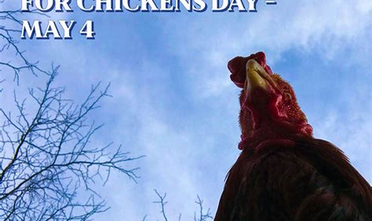 World Chicken Day 2024
