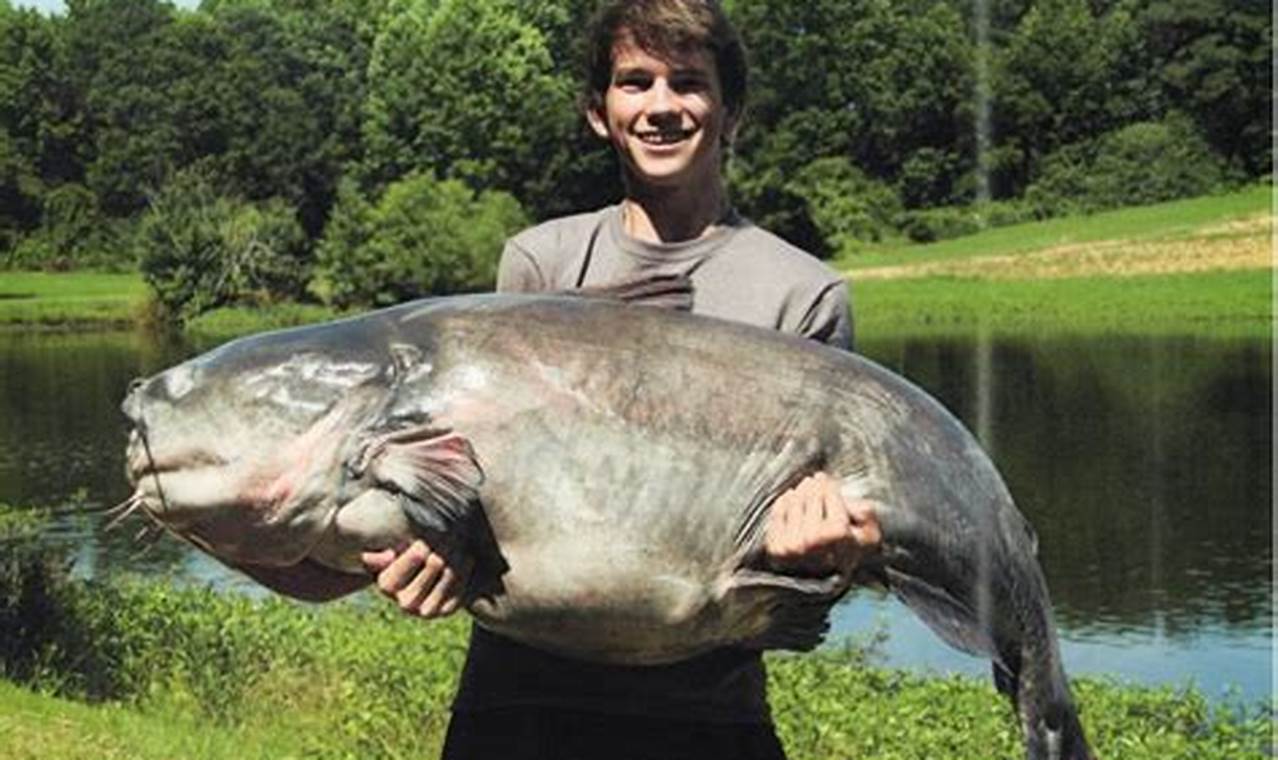 World Record Catfish 2024