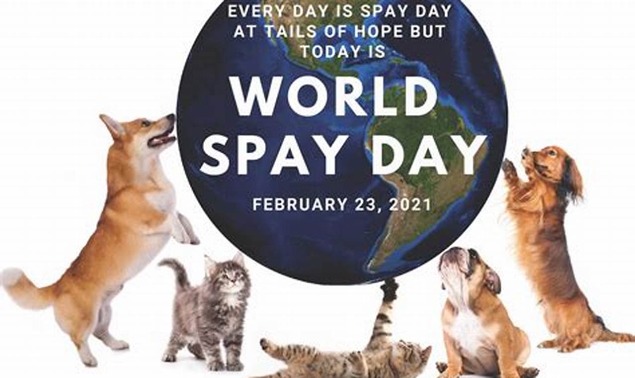World Spay Day 2024 Quotes