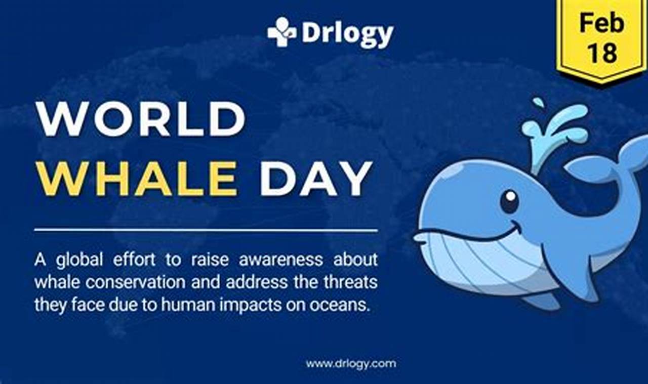 World Whale Day 2024
