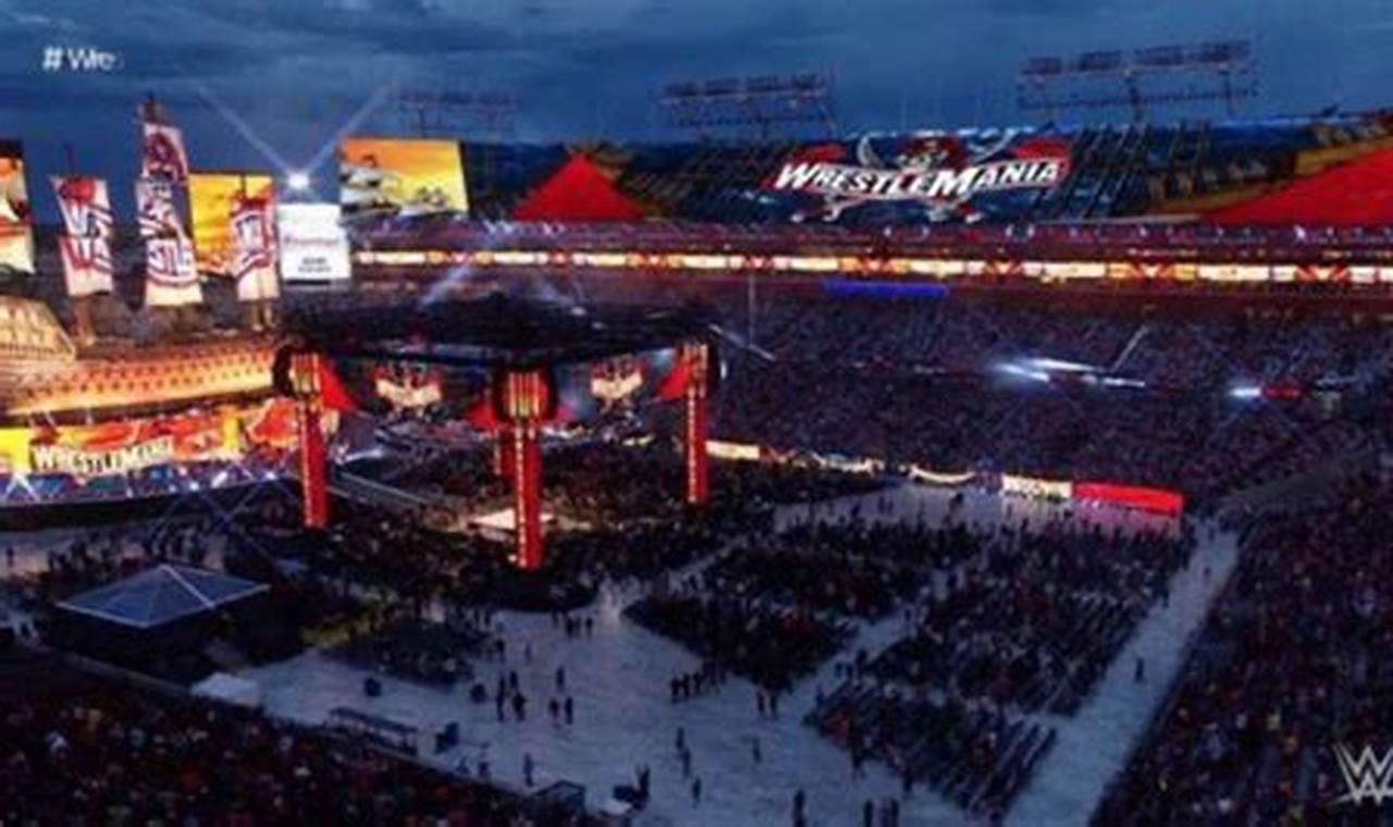 Wwe Attendance 2024