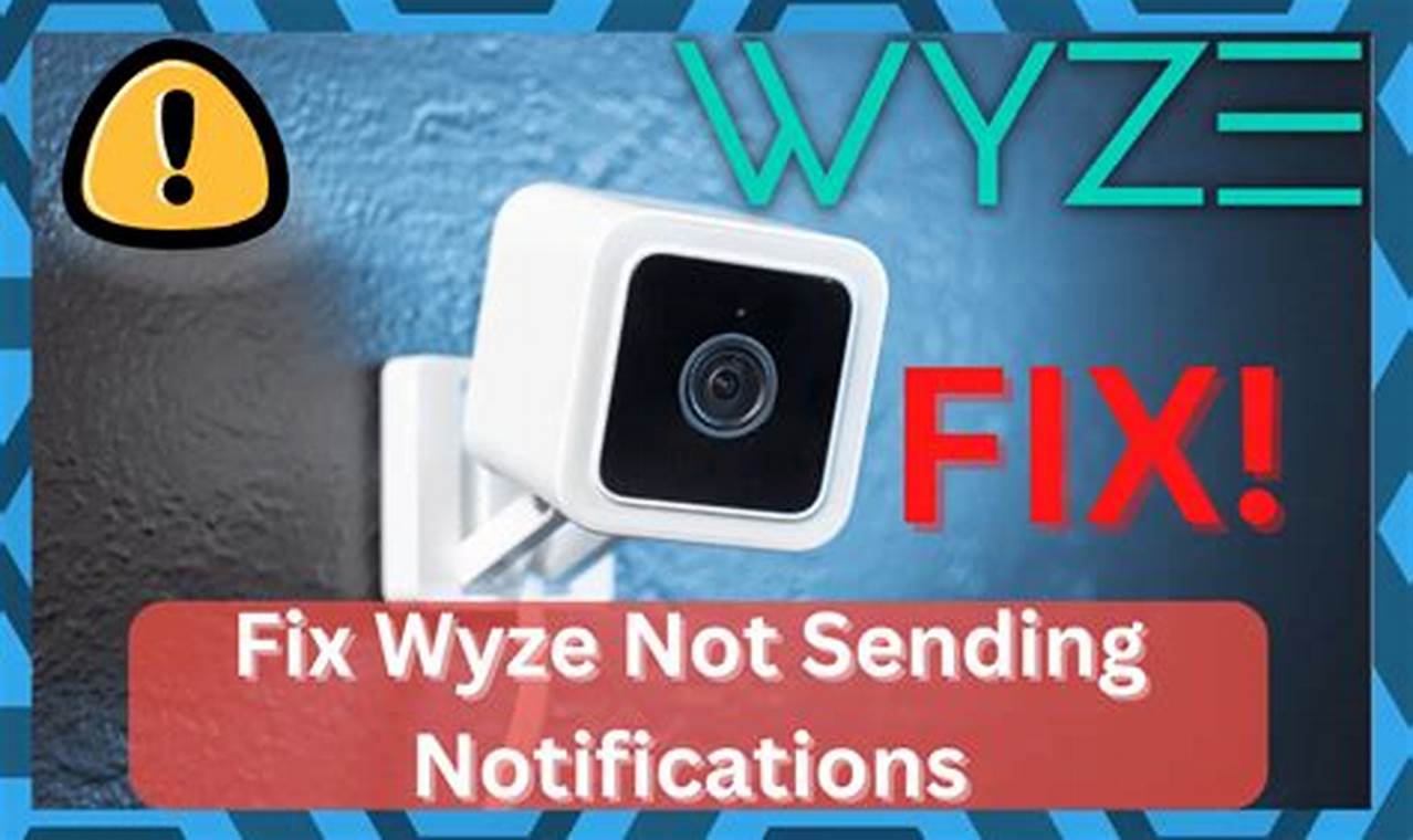 Wyze Notifications Not Working 2024