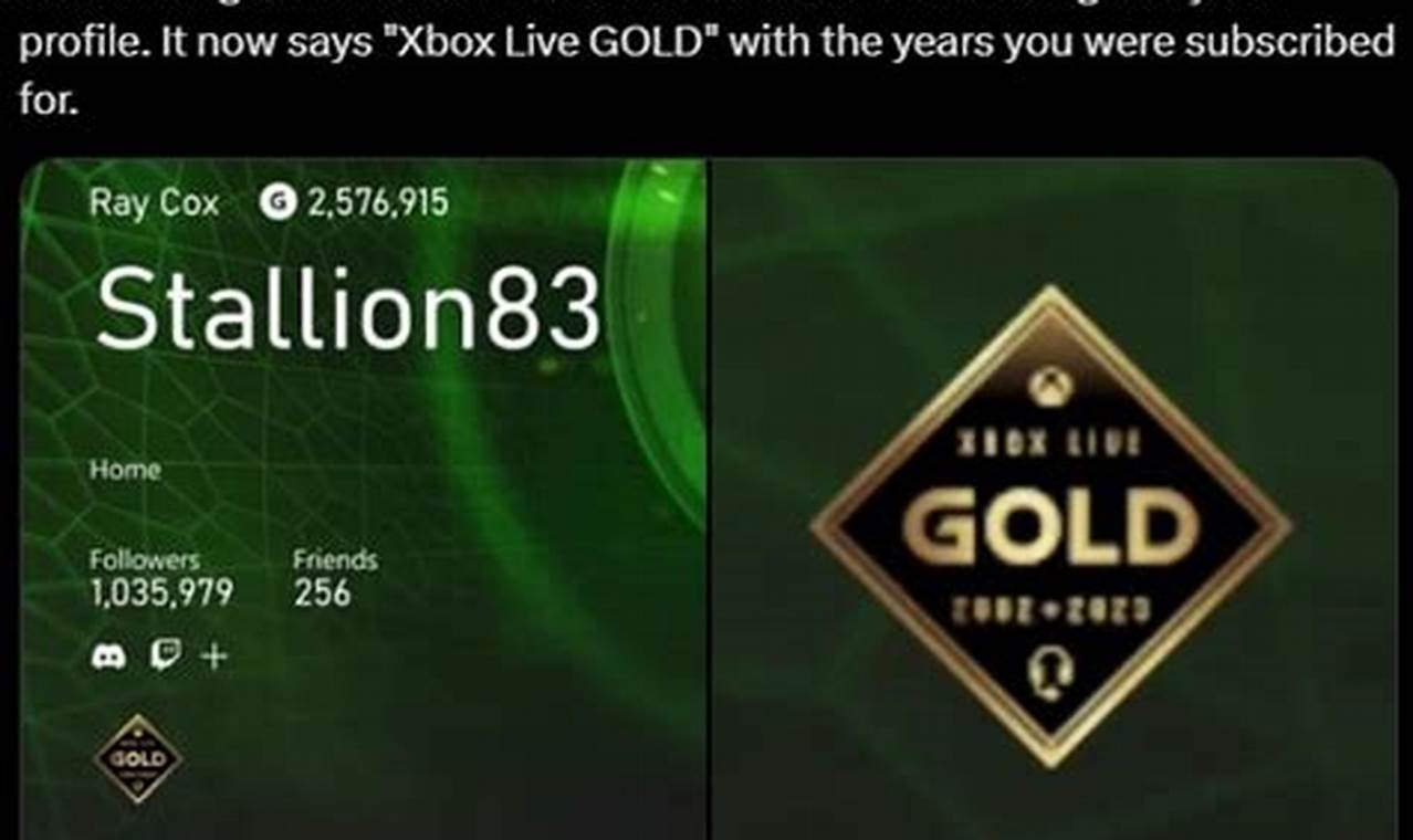 Xbox Live Gold 2002-2024 Badge