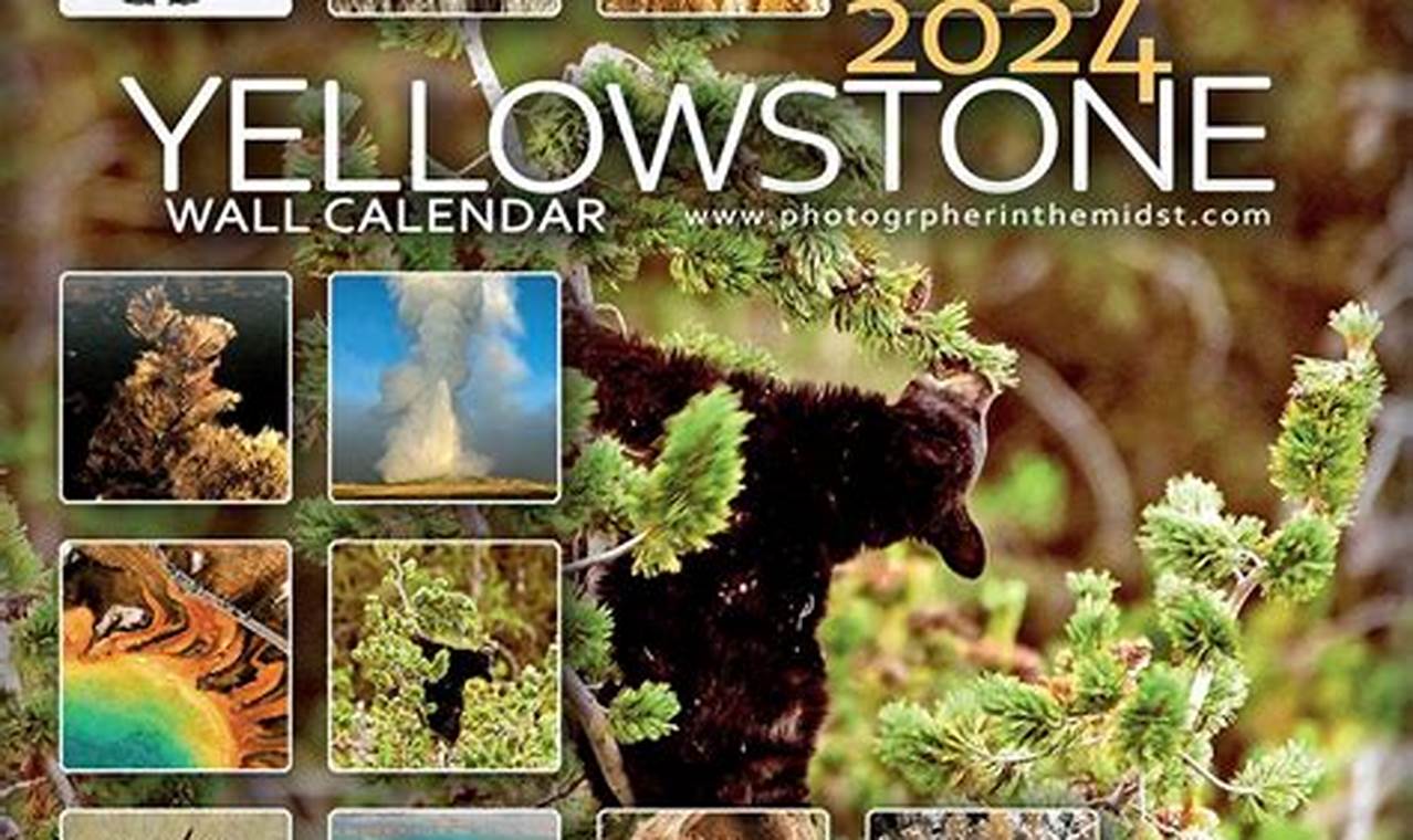 Yellowstone May 2024