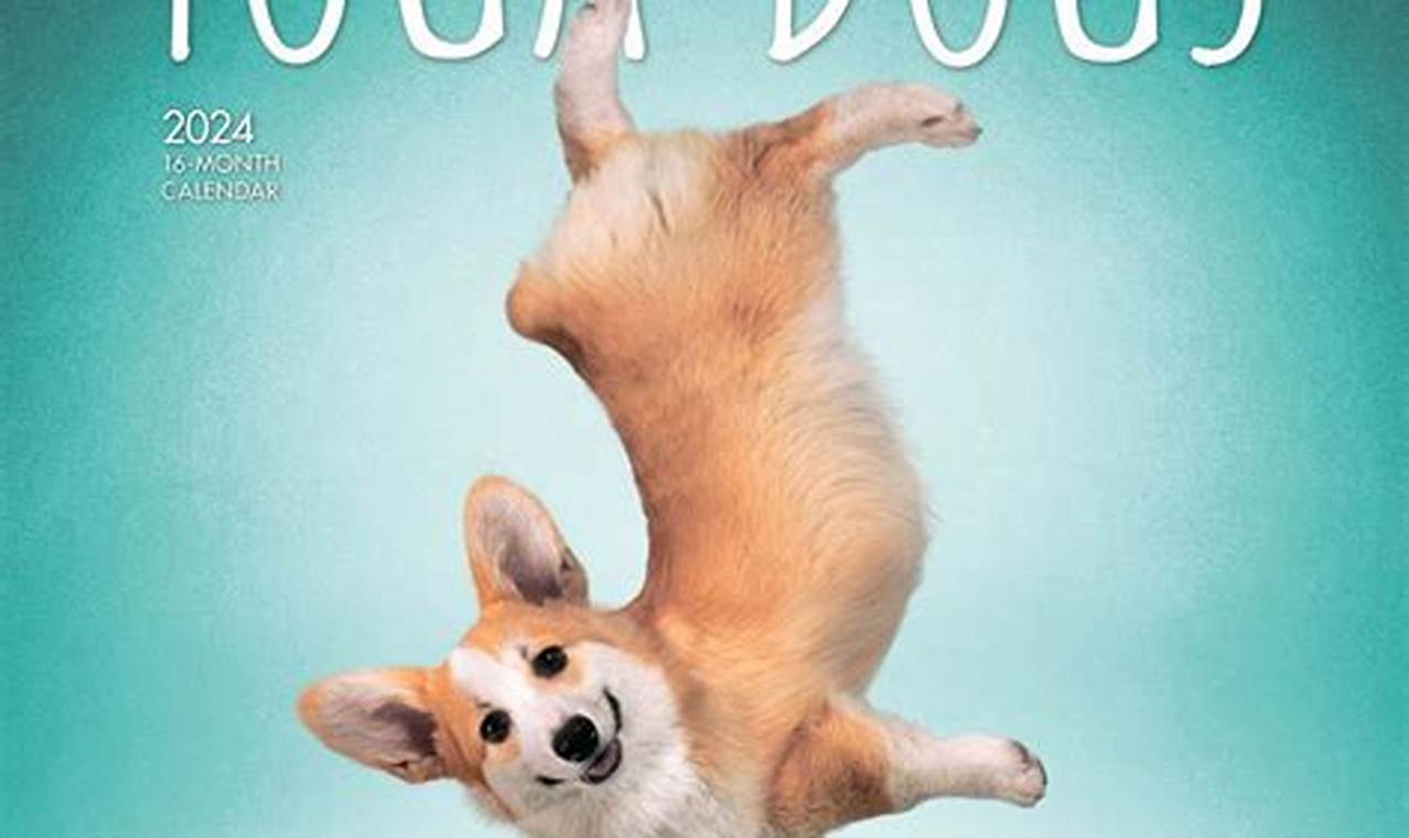 Yoga Dogs Calendar 2024 Calendar Week