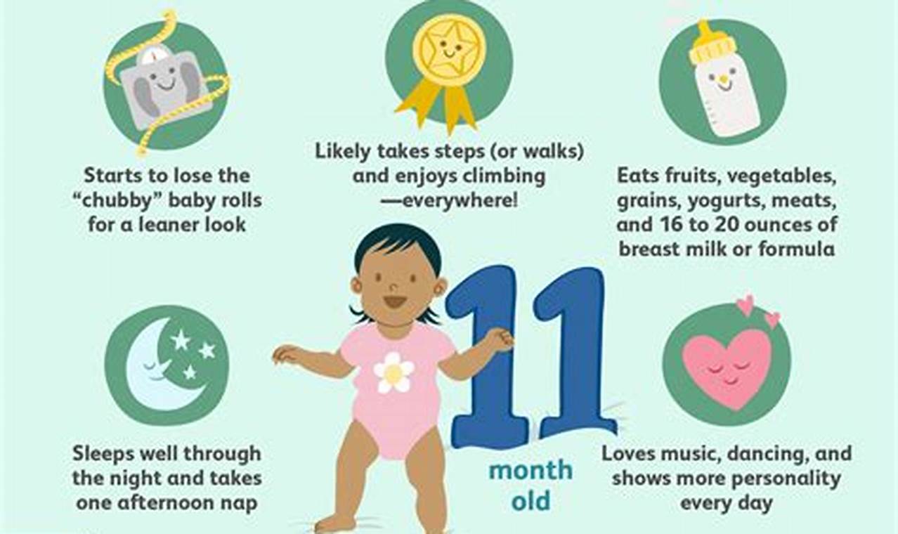 Your Baby's Growth: 11 Months