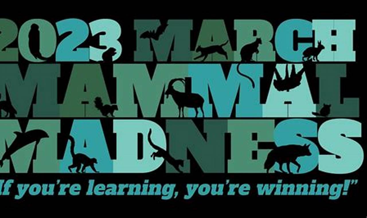 Youtube March Mammal Madness 2024 Live Stream