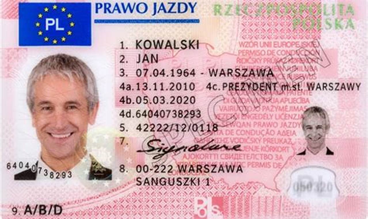 Z Warszawy Do Darłowa Dokument Prawa Jazdy