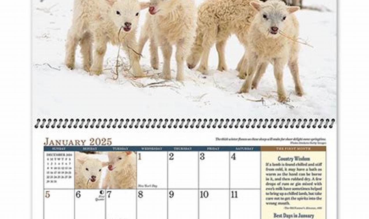 Zodiac Calendar Farmers Almanac 2024