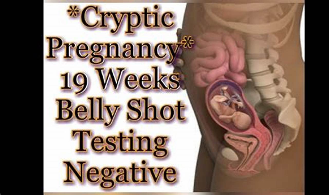 Zona Cryptic Pregnancy Update 2024