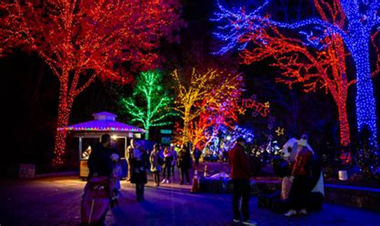 Zoo Lights Dc 2024