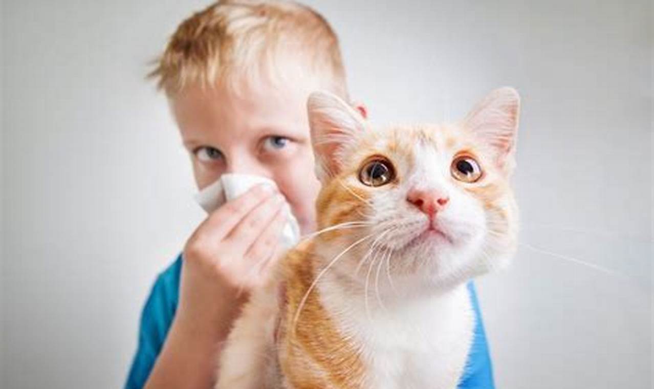 Alergi Kucing: Gejala, Penyebab, dan Cara Mengatasi