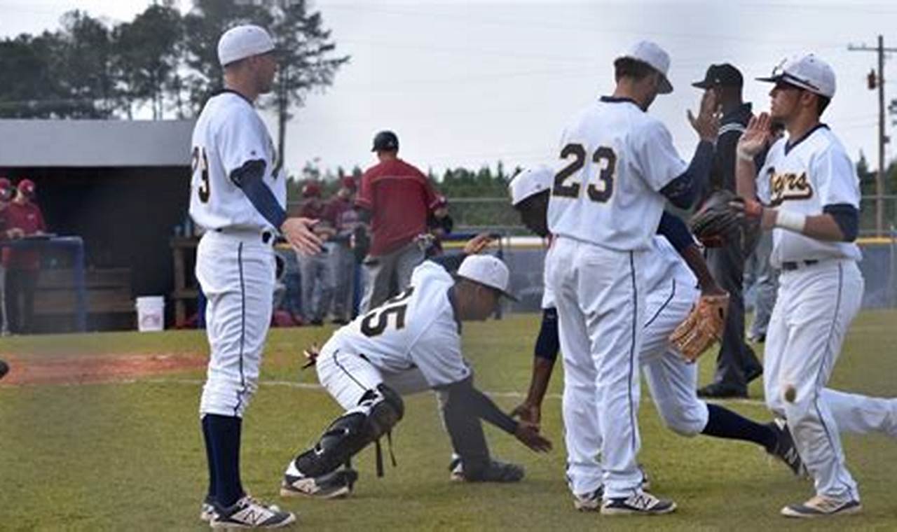 Andrew College Baseball: A Winning Tradition and Unwavering Commitment to Excellence
