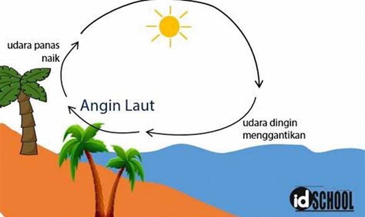 Kapan Angin Laut Akan Terjadi? Inilah Penjelasannya