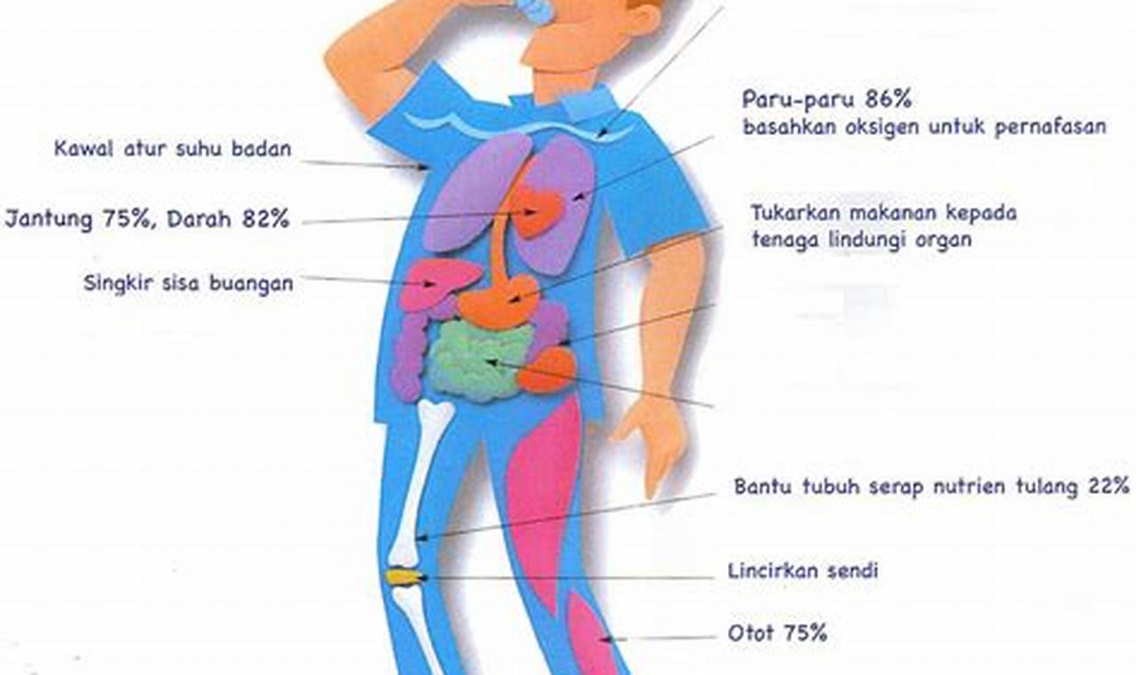 Temukan 8 Manfaat Air Bagi Tubuh yang Jarang Diketahui