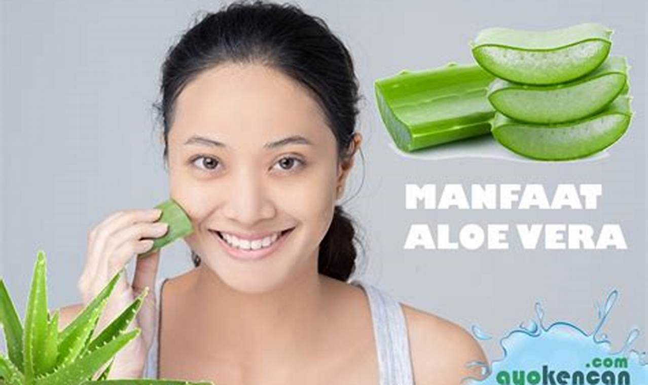 Temukan 10 Manfaat Aloe Vera untuk Wajah yang Jarang Diketahui