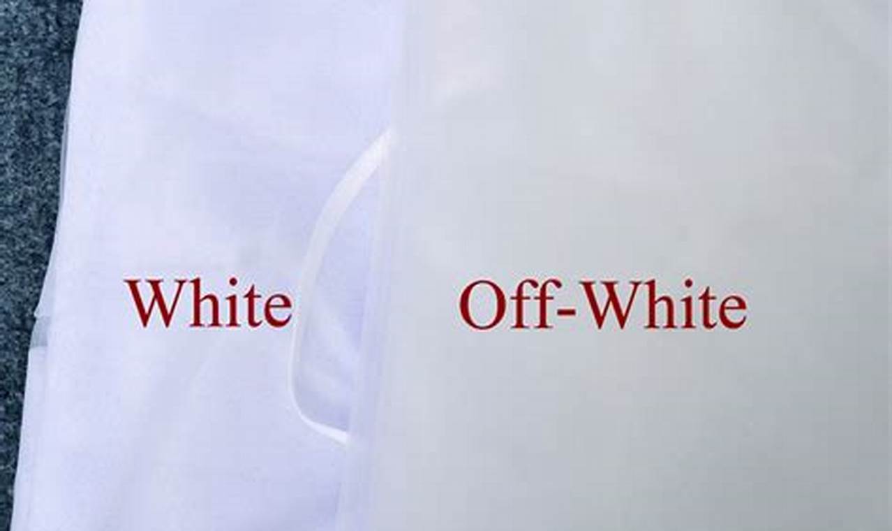 Panduan Lengkap: Apa Perbedaan Warna White dan Off White?