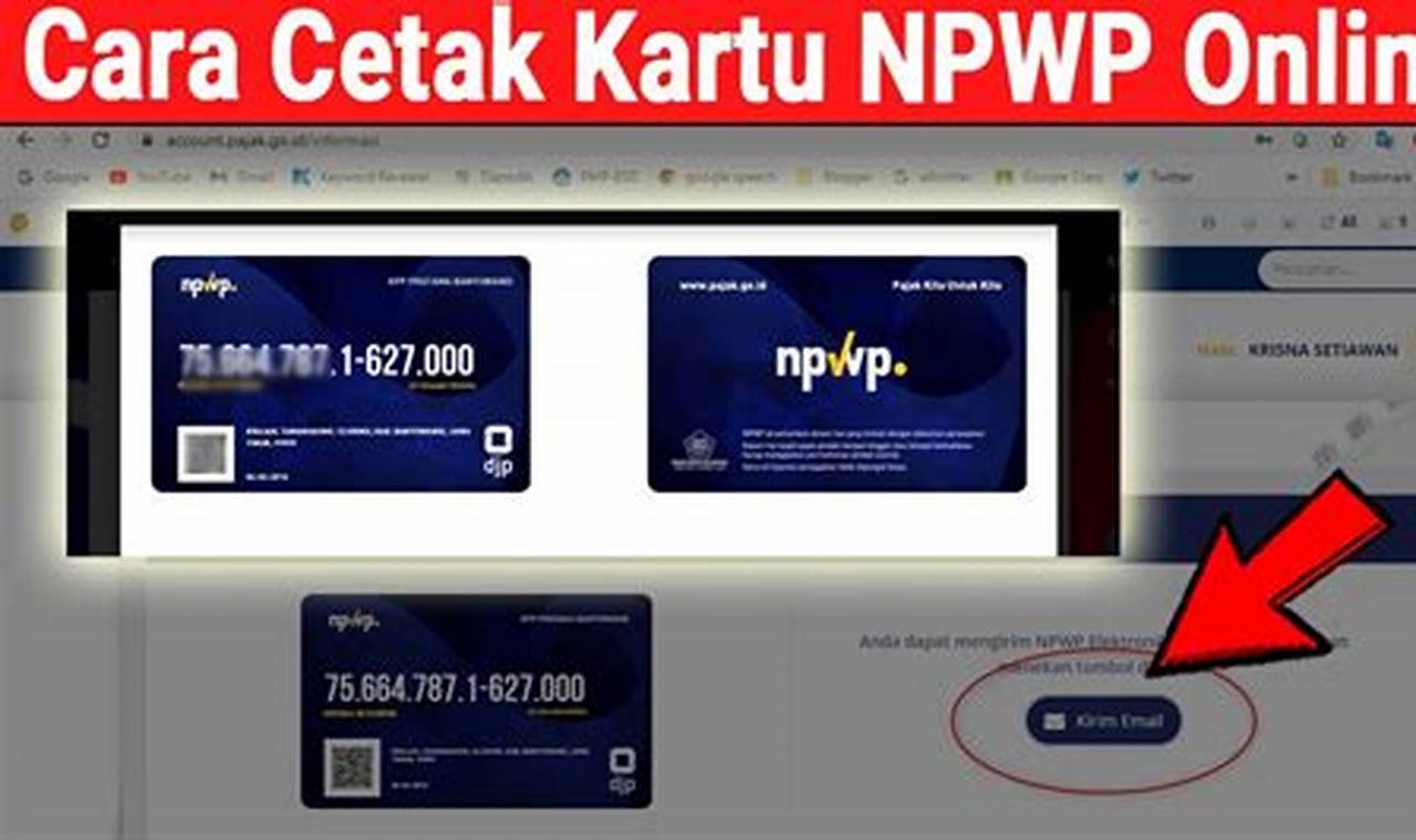 aplikasi cetak kartu npwp