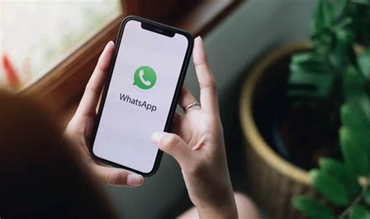 aplikasi pelacak nomor whatsapp