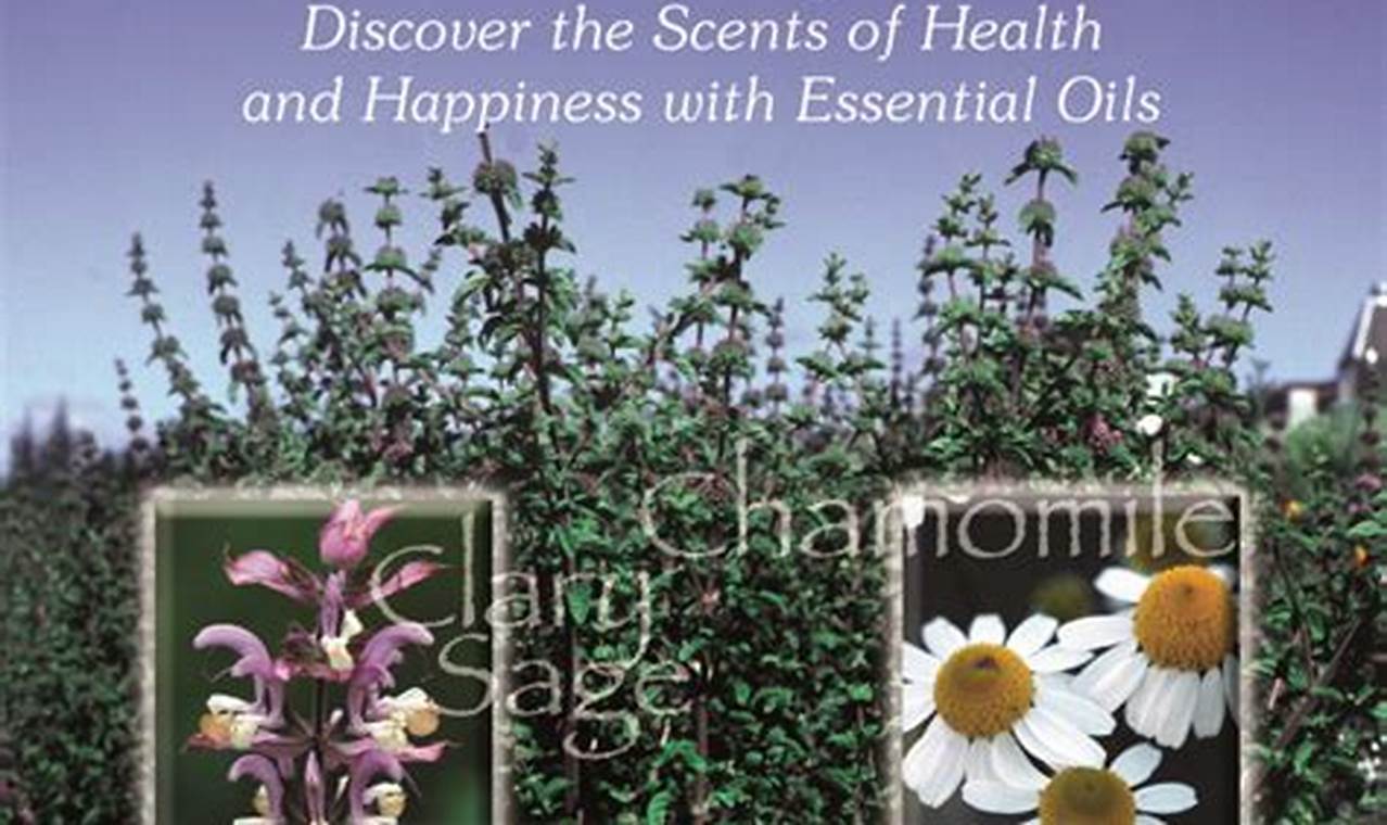 Discover the World of Aromatherapy: Unveiling Its Secrets for Everyone