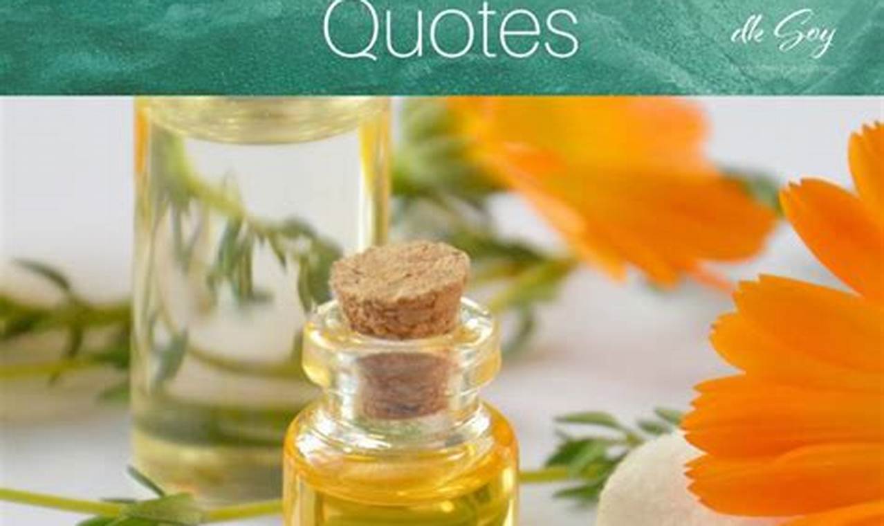 Unveiling the Secrets of the Aromatherapy Quotes Bible: Discoveries and Insights Await