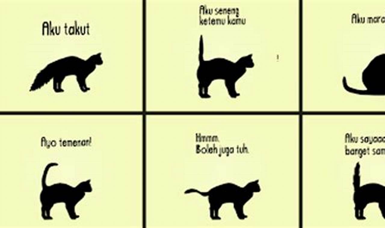Arti Ekor Kucing: Panduan Lengkap untuk Memahami Ekspresi Kucing