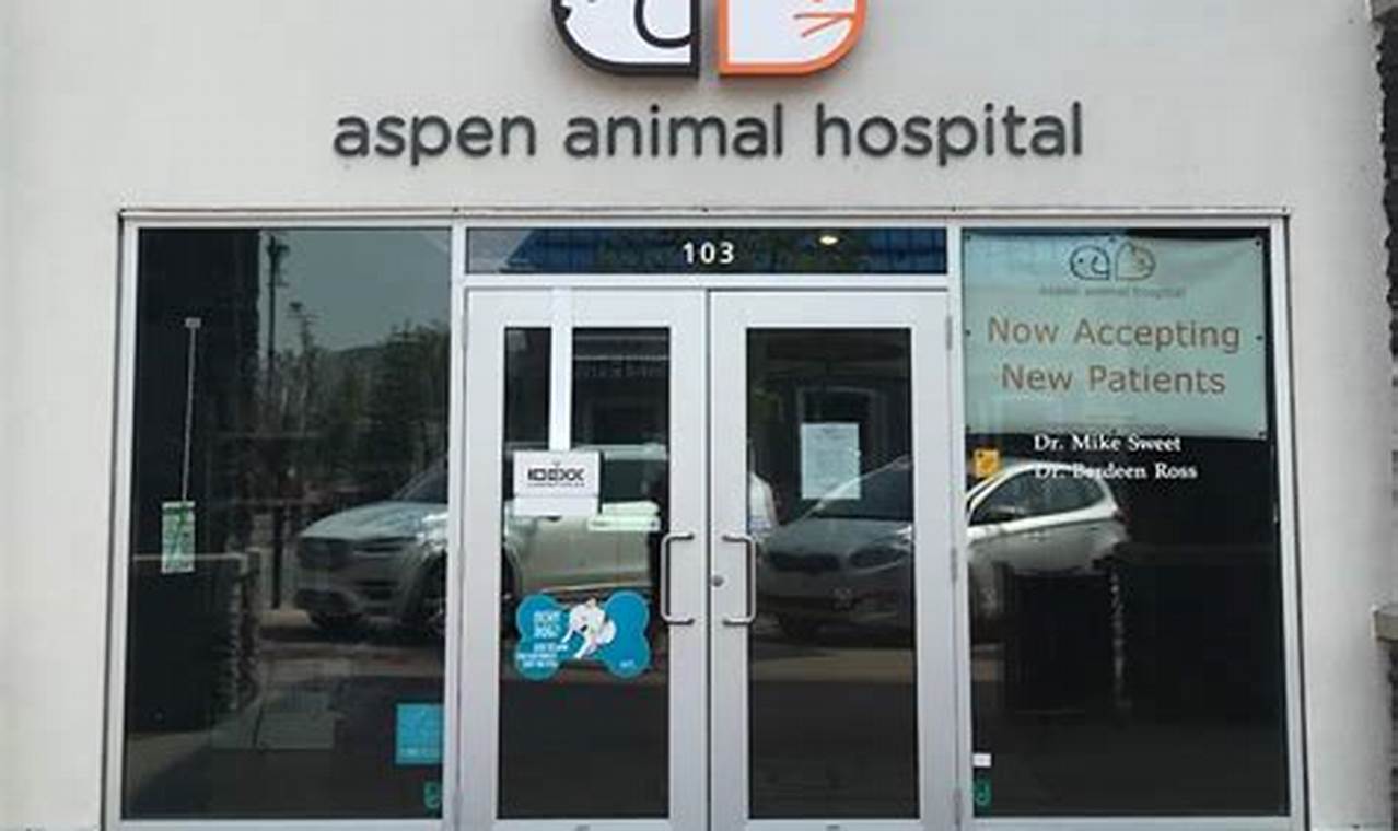 Aspen Animal Hospital Longmont: Exceptional Veterinary Care in Your Neighborhood