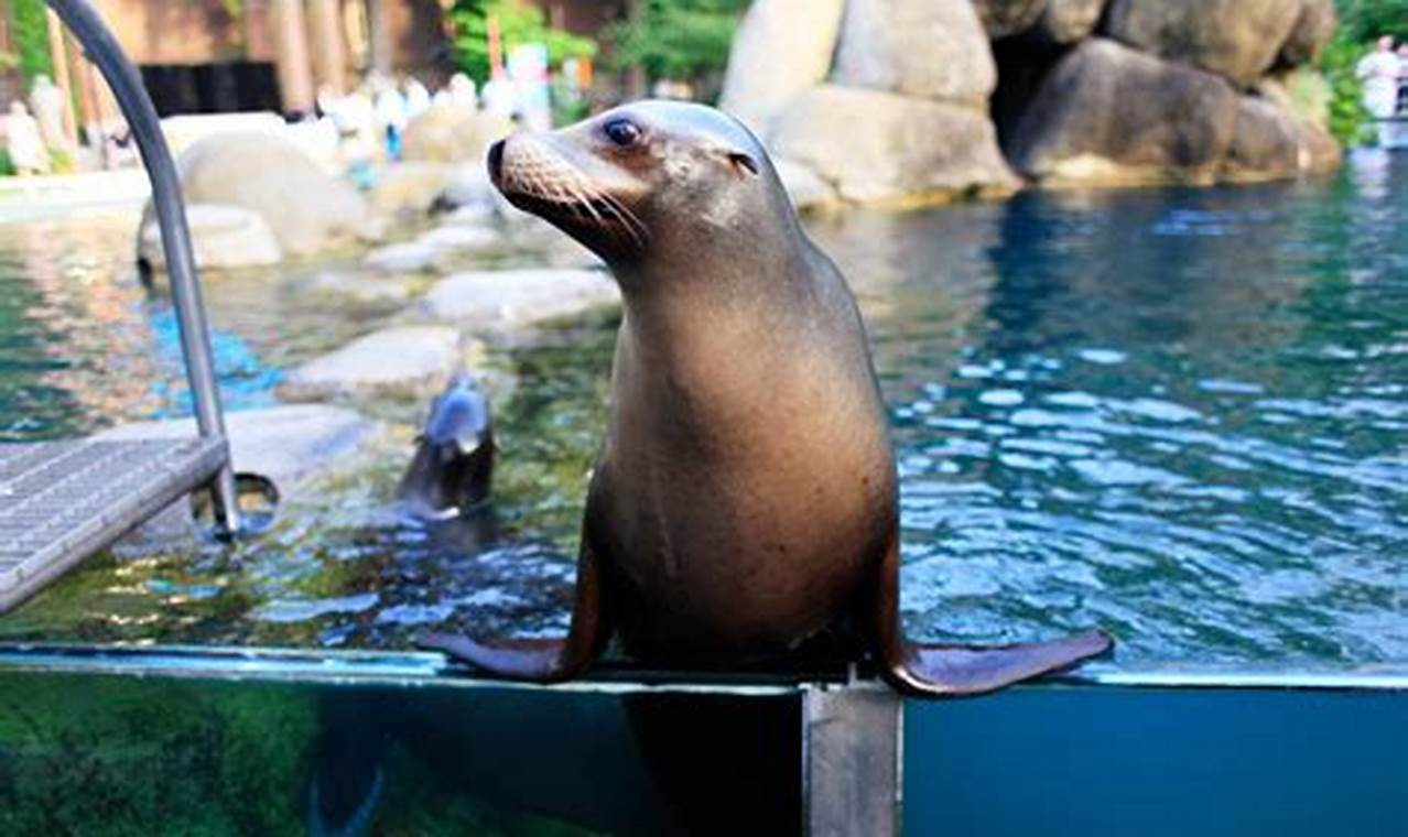 Unleash 4,000+ Zoo Wonders: Explore NYC's Animal Kingdom