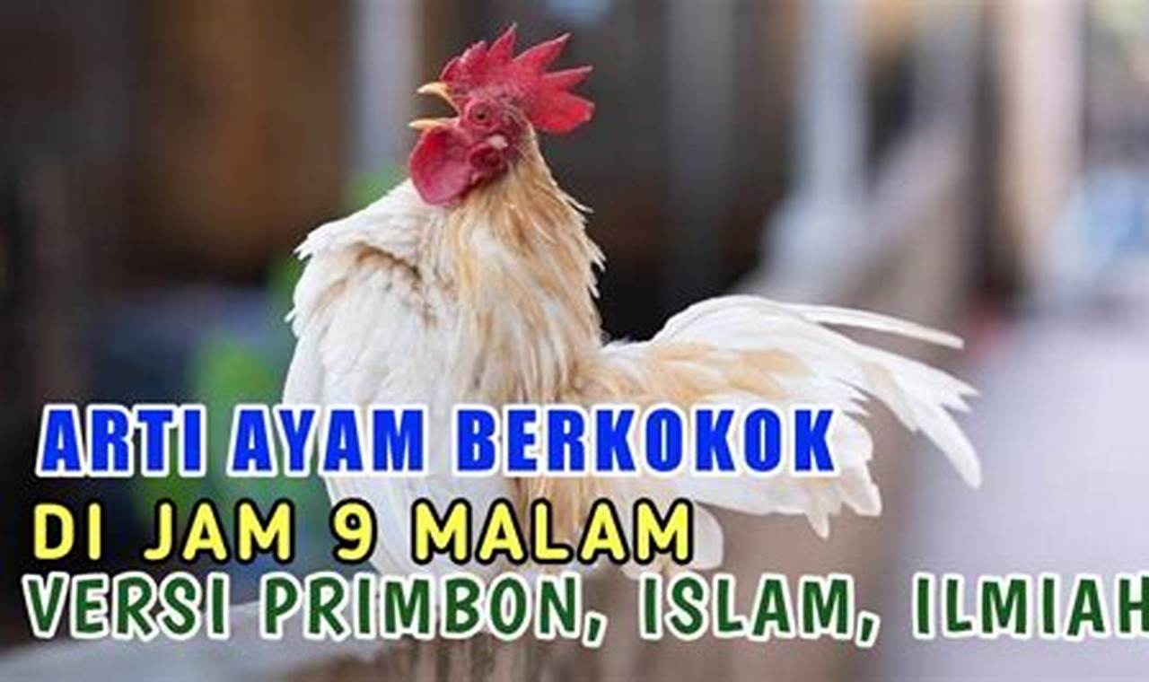 Misteri Makna Ayam Berkokok Jam 11 Malam: Tafsir Islam