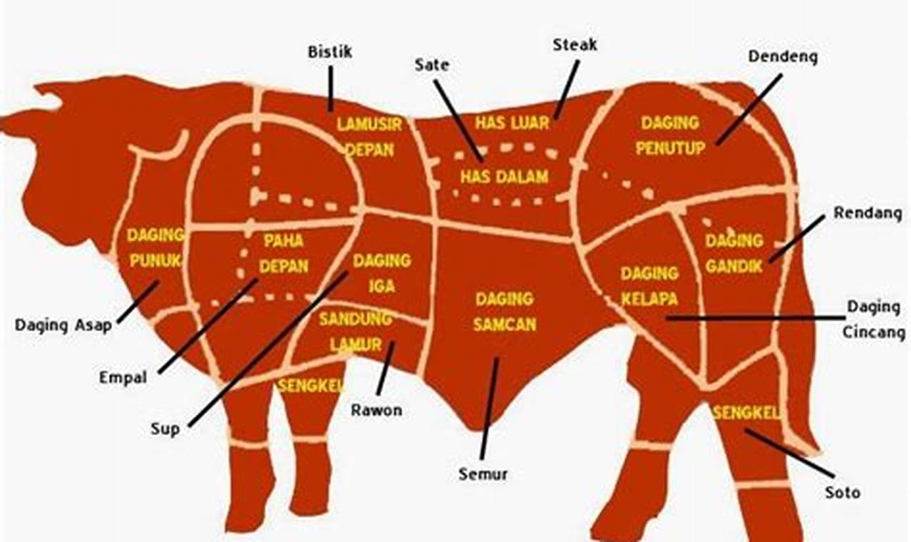 Panduan Lengkap: Bagian Daging Sapi dalam Bahasa Indonesia