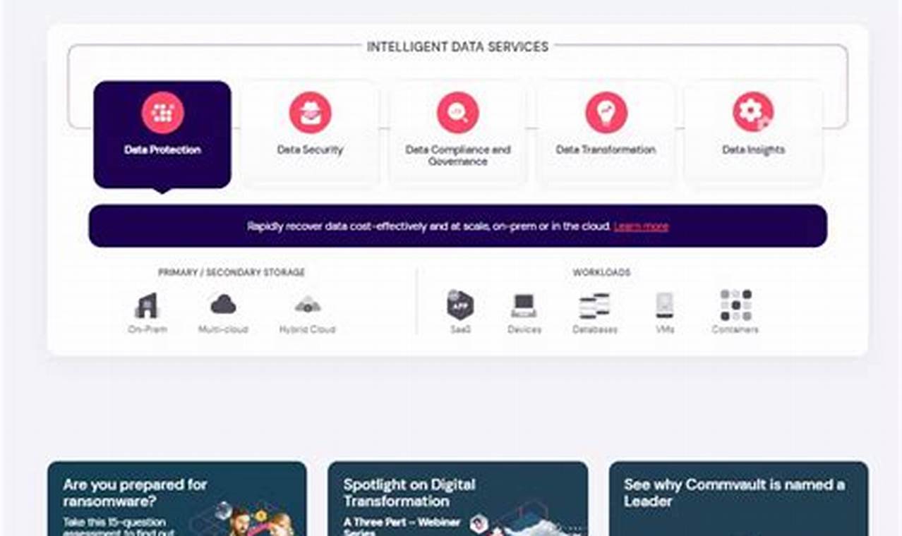 Top-Tier Data Management Software for Business in 2022: tapchiai.net