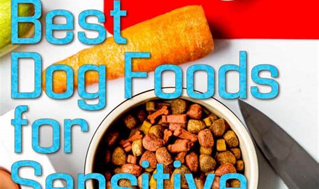 Best Dog Food for Sensitive Skin