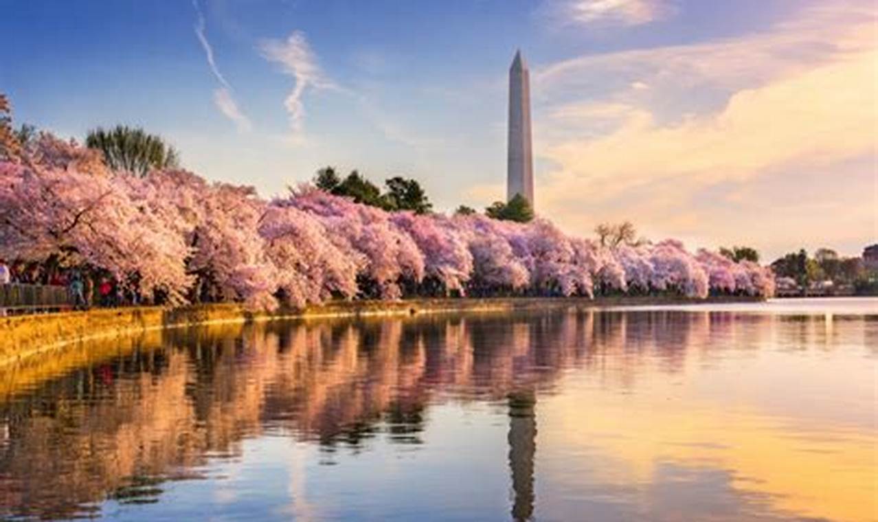 Unveiling the Best Places to Visit in April in the USA: Your Guide to Unforgettable Spring Escapes