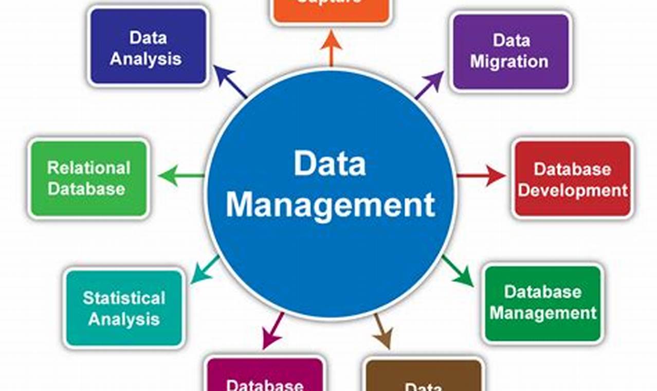 big data management