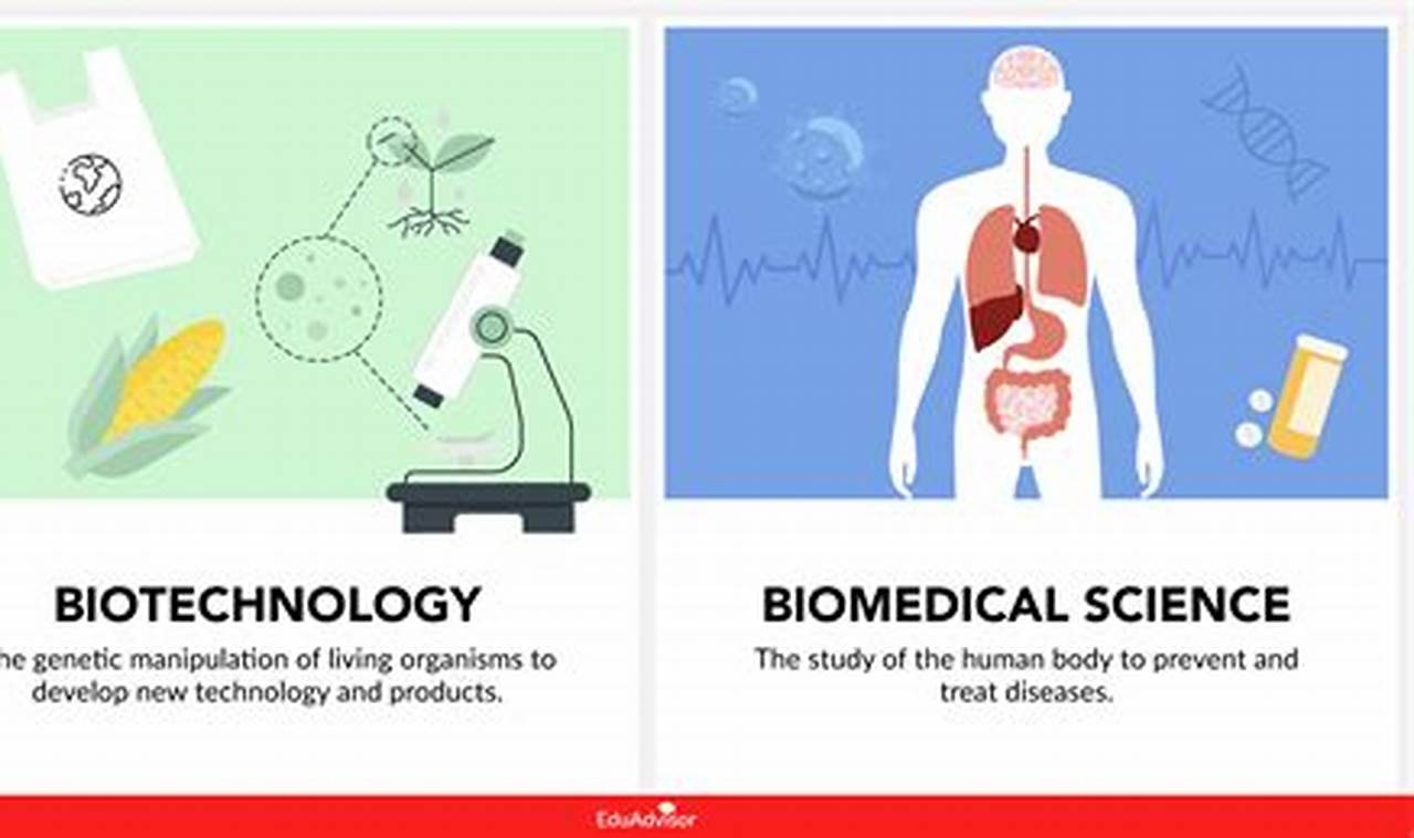 Biomedical vs Biotechnology: A Guide to the Future of Medicine, Industry, and Environment
