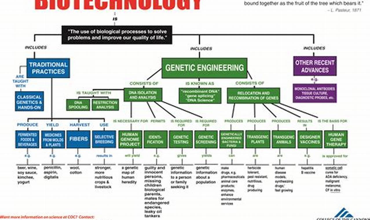 Unveiling Biotechnology Charts: A Comprehensive Guide for the Biotech Niche