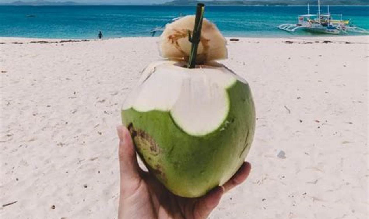 Resep Air Kelapa Sehat: Nikmati Khasiatnya Setiap Hari