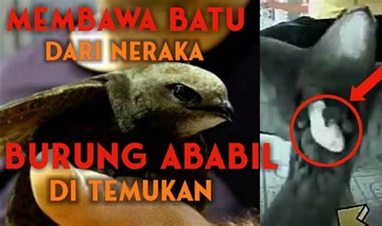 Sejarah Burung Ababil: Keajaiban Ilahi yang Menakjubkan