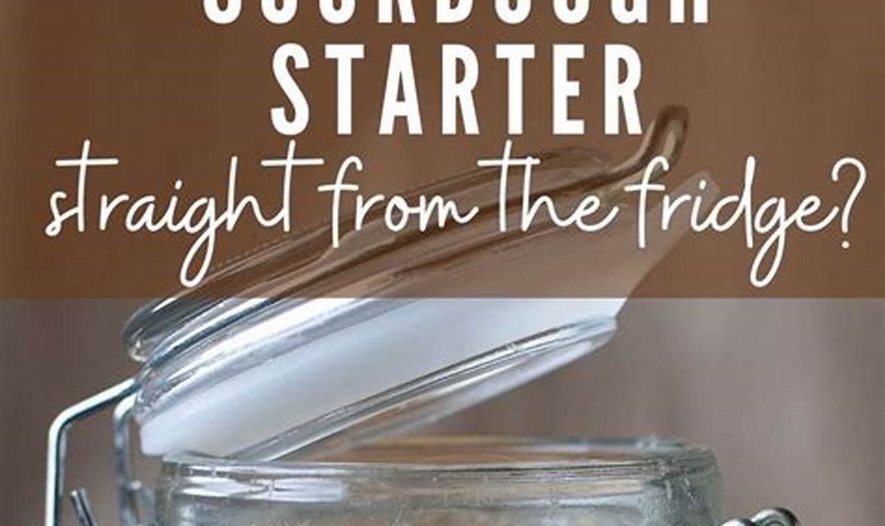 Sourdough Starter Straight from the Fridge: Unleash a Tangy Revolution in Your Baking