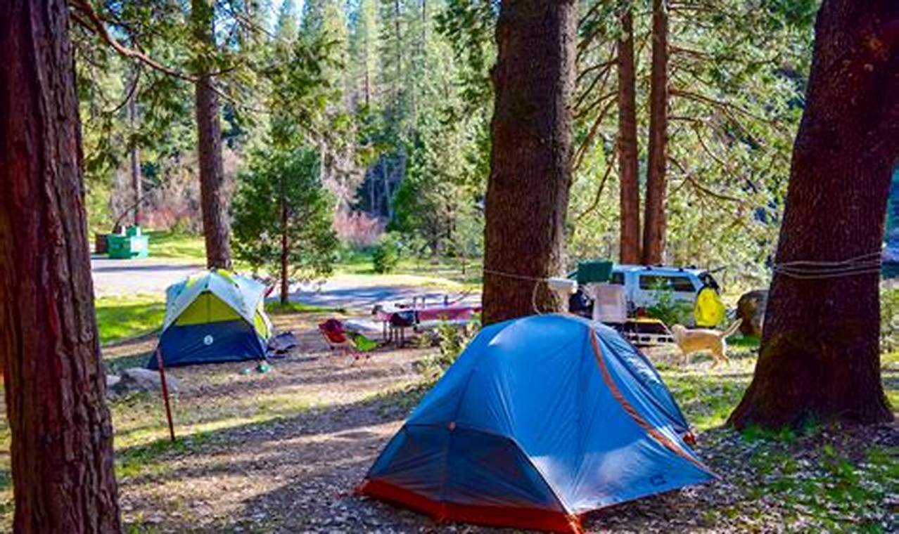 Can You Car Camp In National Parks